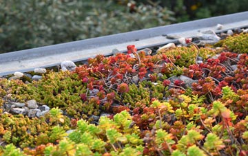 the cost of Wark Common green roof installation