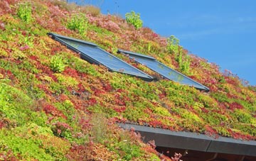 Wark Common living roof systems