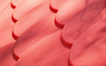 Wark Common plastic roof costs