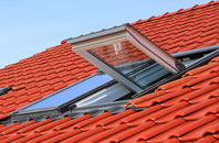 Wark Common roof window